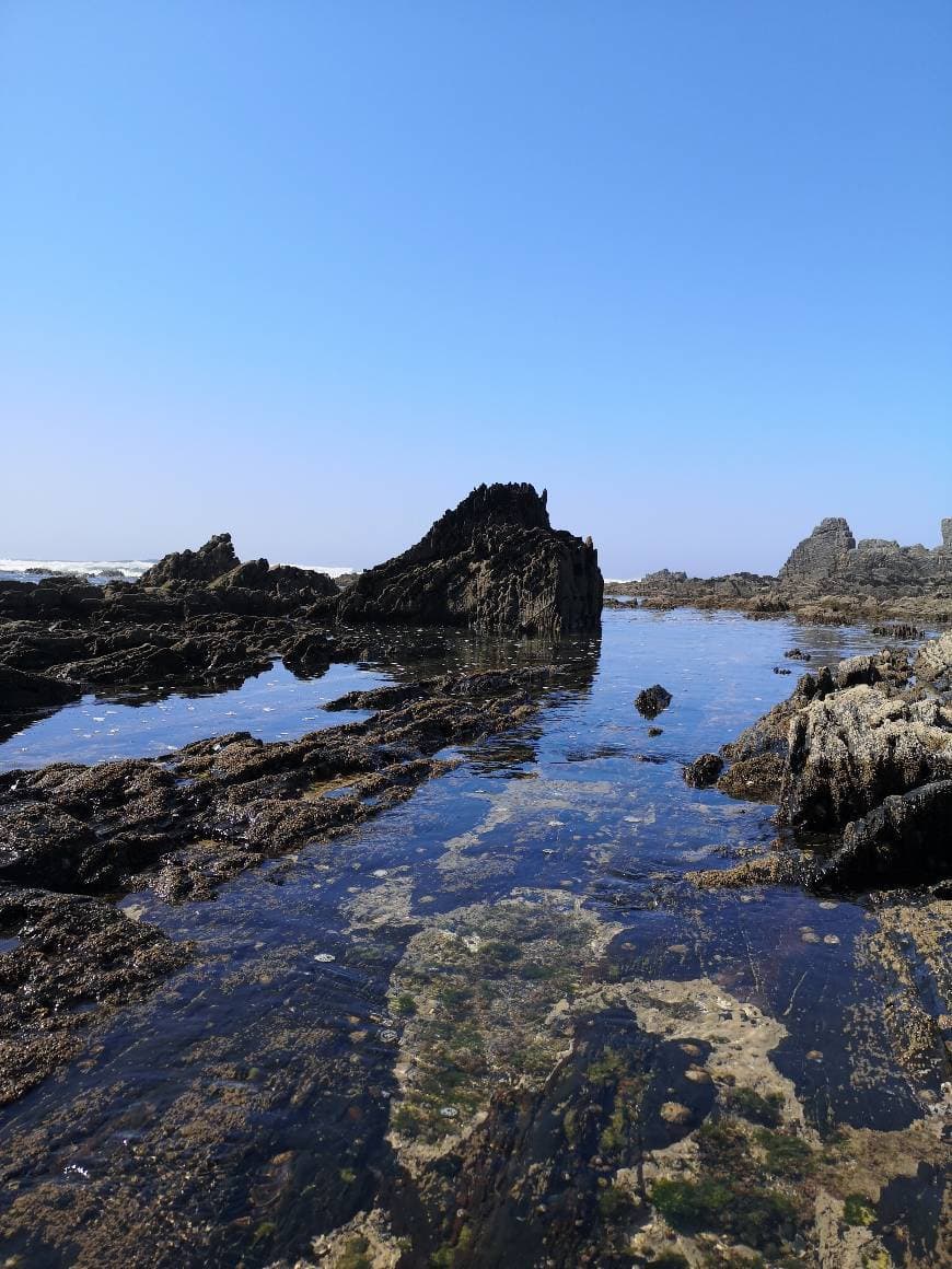 Lugar Praia dos Cavaleiros