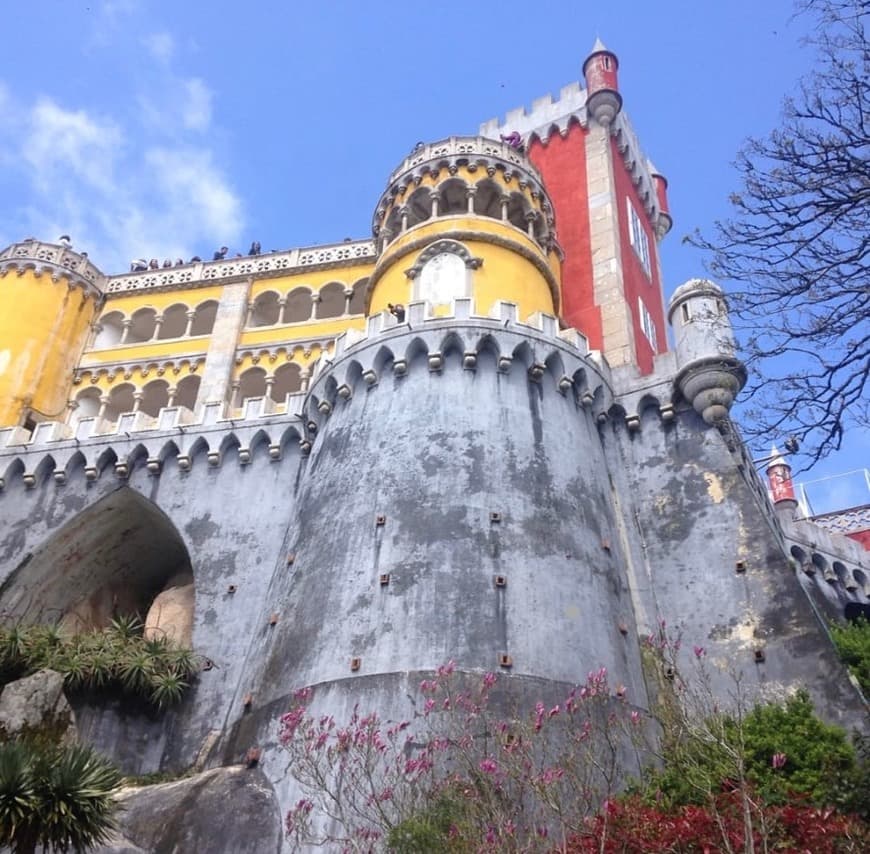 Lugar Palacio da Pena