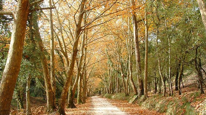 Lugar Tapada Nacional de Mafra