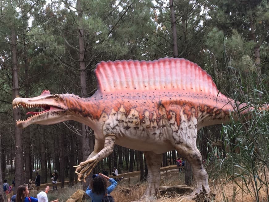 Lugar Dino Parque Lourinhã