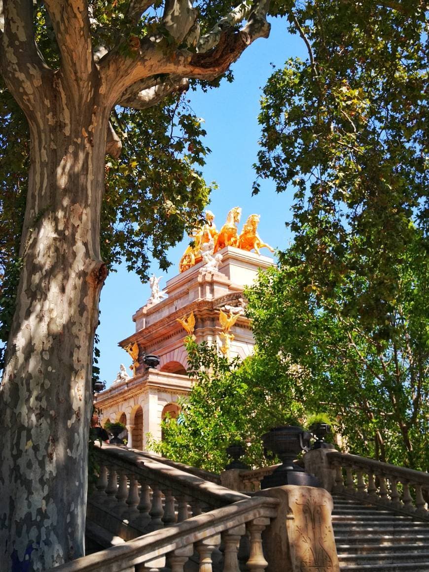 Place Parque de la Ciudadela