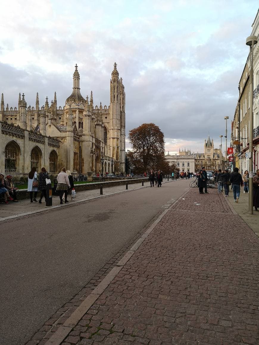 Place Cambridge