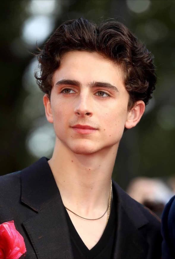 Fashion Timothée Chalamet