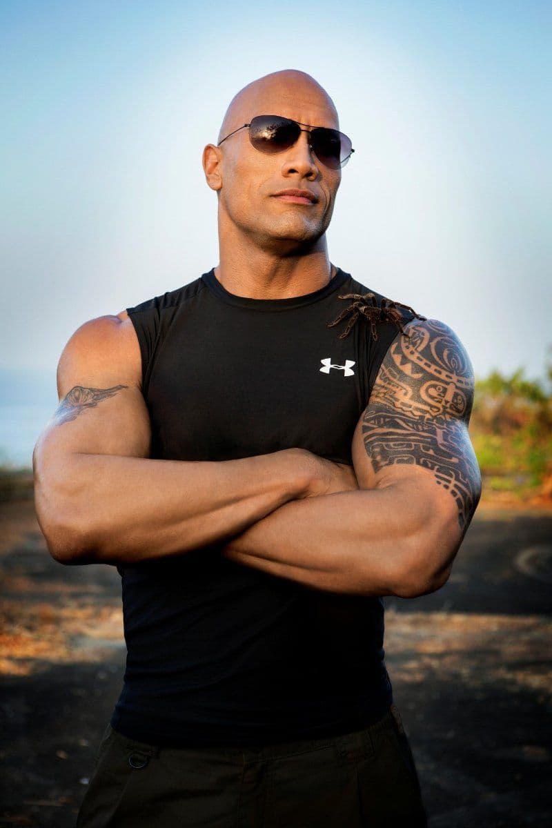 Moda Dwayne Johnson - IMDb