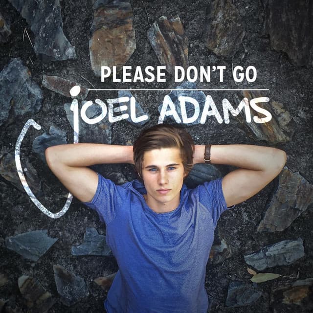 Canción Please don't go, Joel Adams