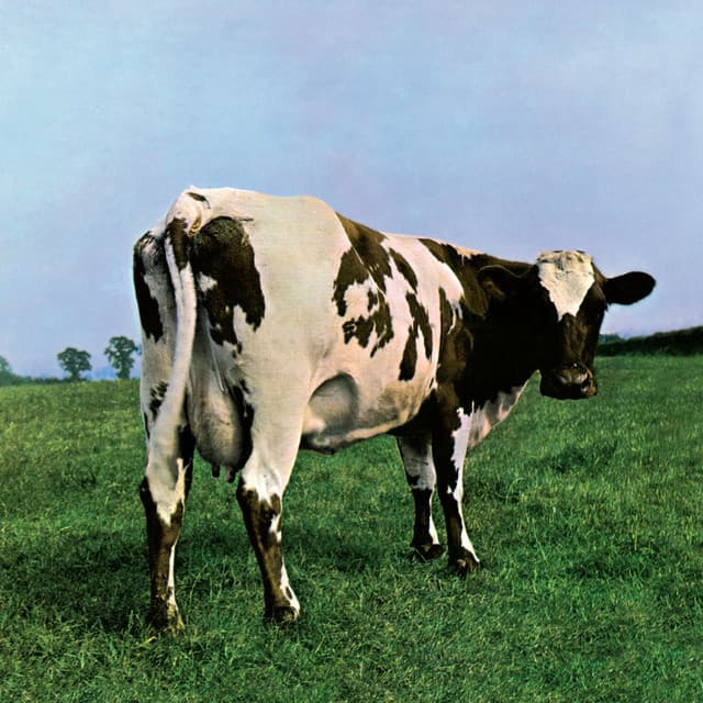 Canción Atom Heart Mother