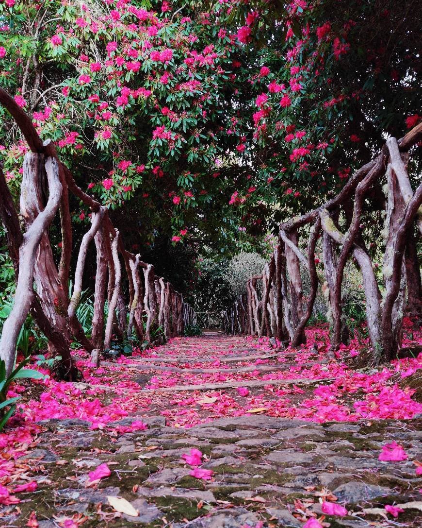 Lugar Parque das Queimadas