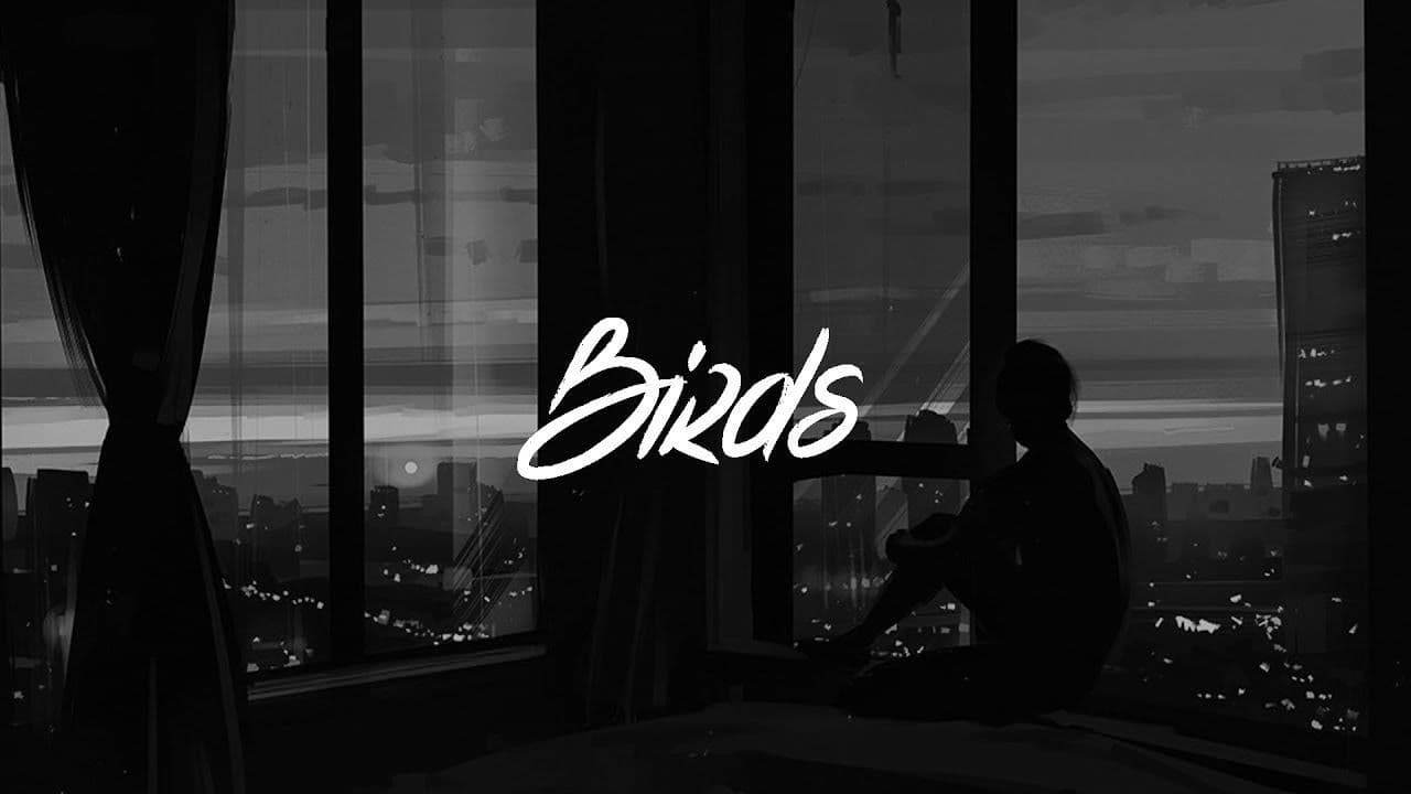 Canción Imagine Dragons - Birds 