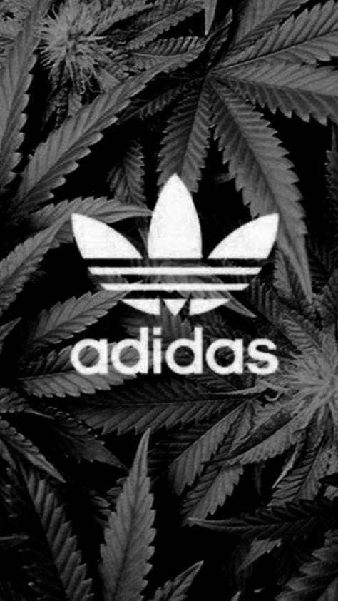 Moda Adidas