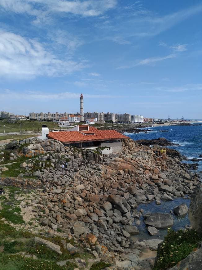 Lugar Casa de Chá da Boa Nova