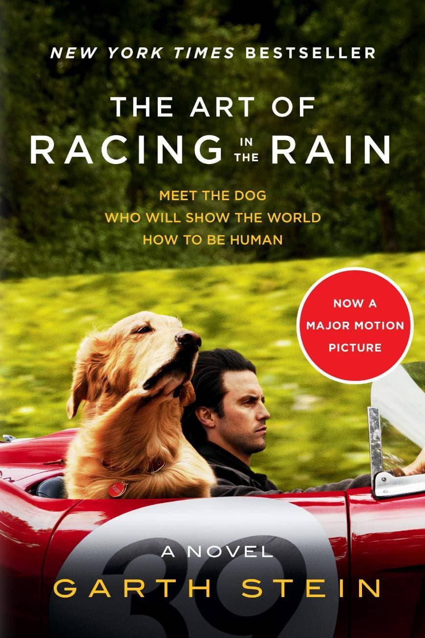 Movie The Art of Racing in the Rain