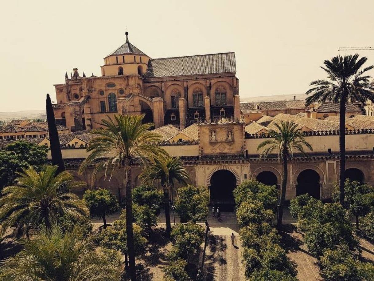 Lugar Mezquita-Catedral de Córdoba