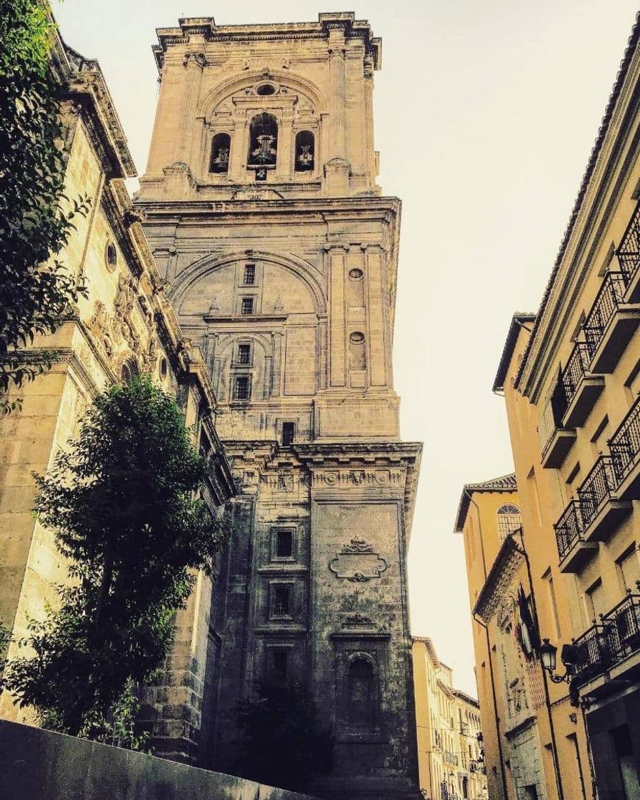 Place Catedral de Granada