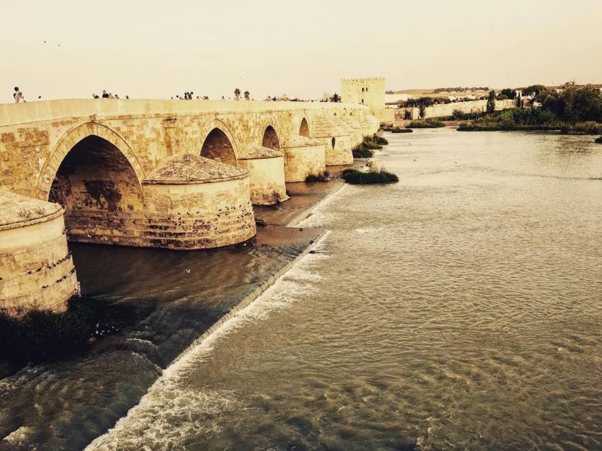 Lugar Puente Romano de Córdoba