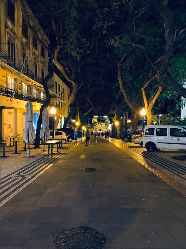 Lugar Avenida Do Mar