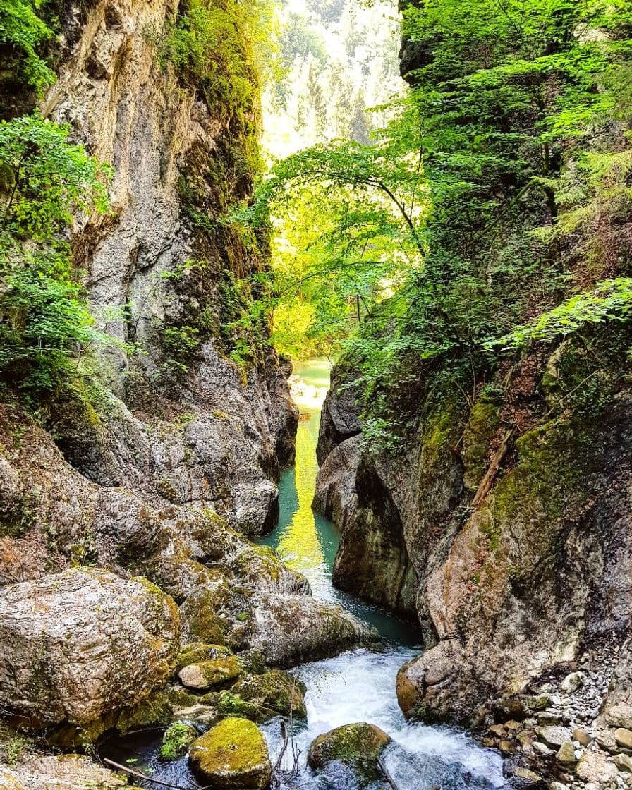 Lugar Gorges de la Jogne