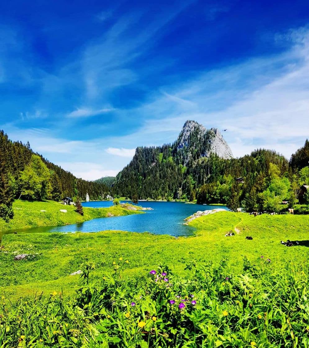 Place Lago de Taney