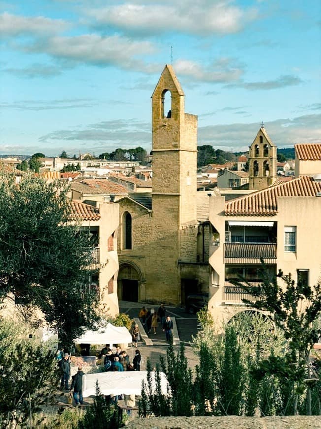 Lugar Église Saint-Michel de Salon-de-Provence