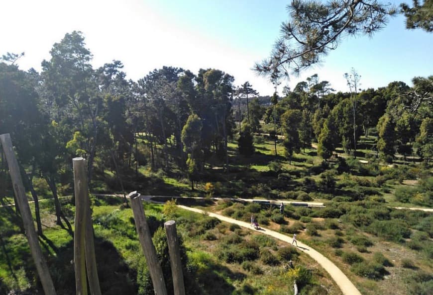 Lugar Buçaquinho Park