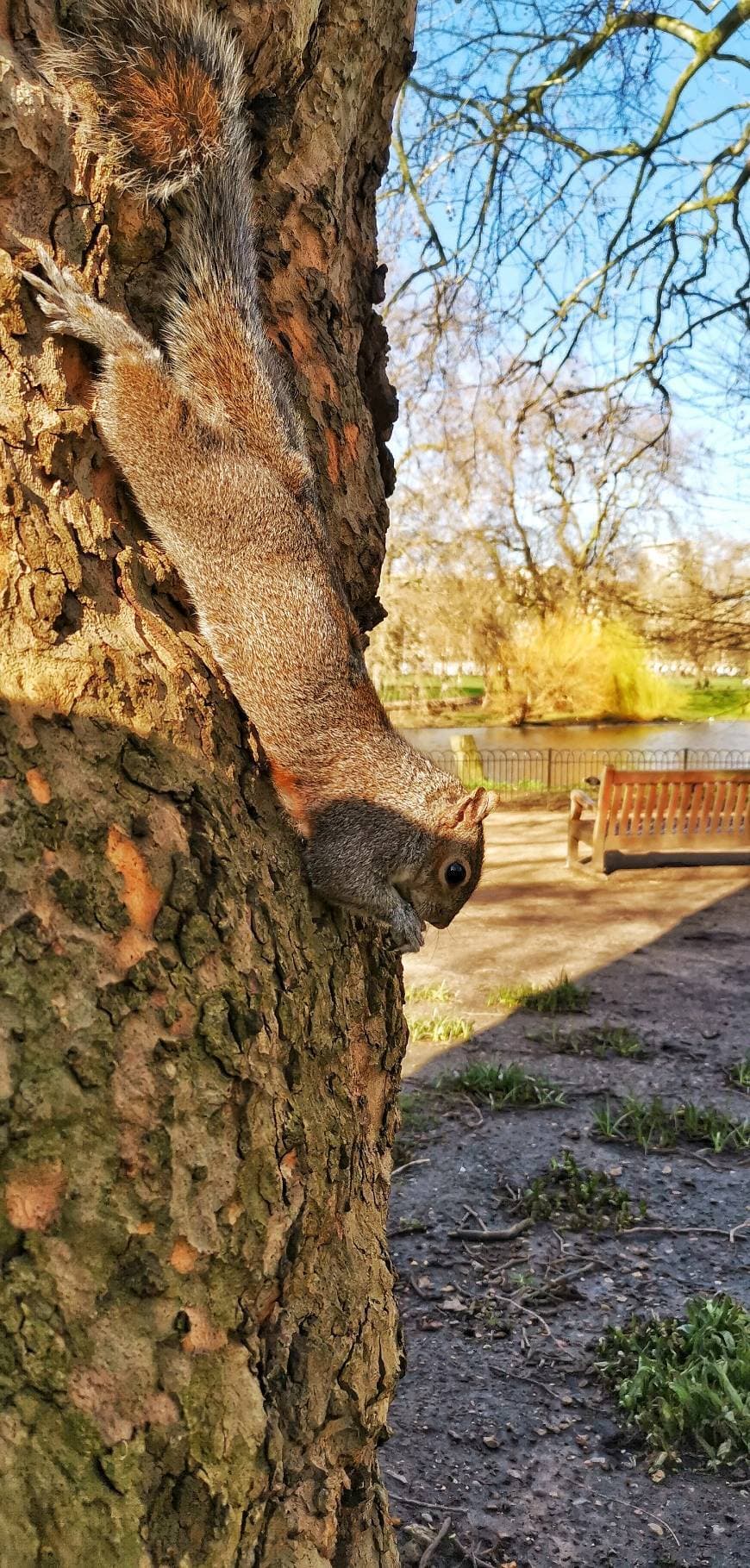 Place St. James's Park