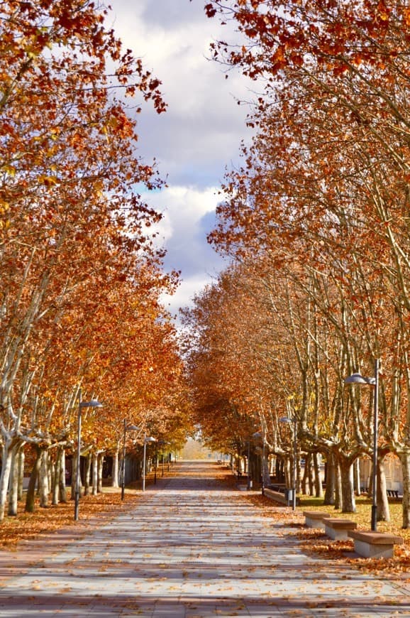 Lugar Parque de Los Jesuitas