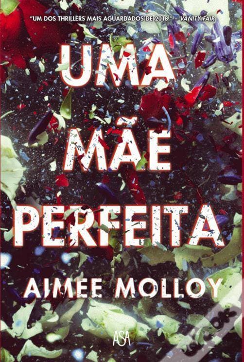 Book Uma mãe perfeita