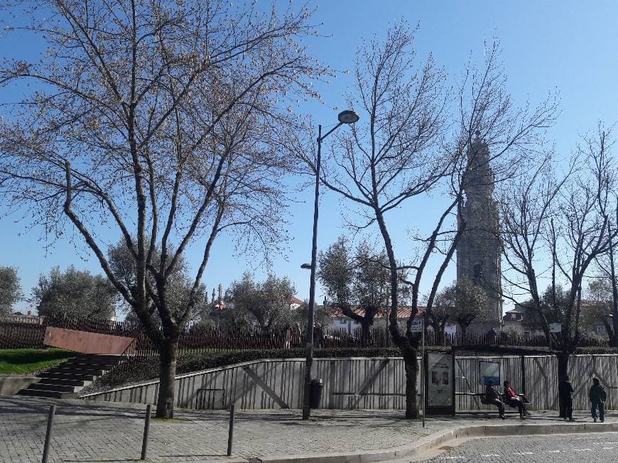 Place Iglesia de los Clérigos