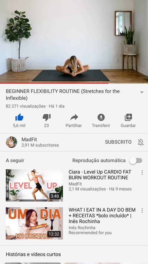 Producto Begginer flexibility routine