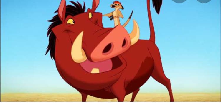 Serie Timon & Pumbaa