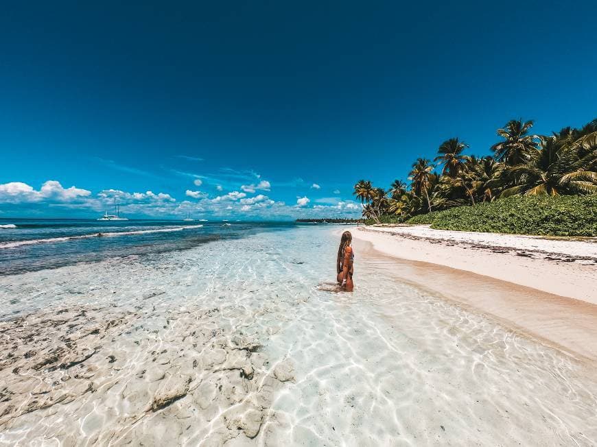 Lugar Isla Saona Bayahibe La Romana