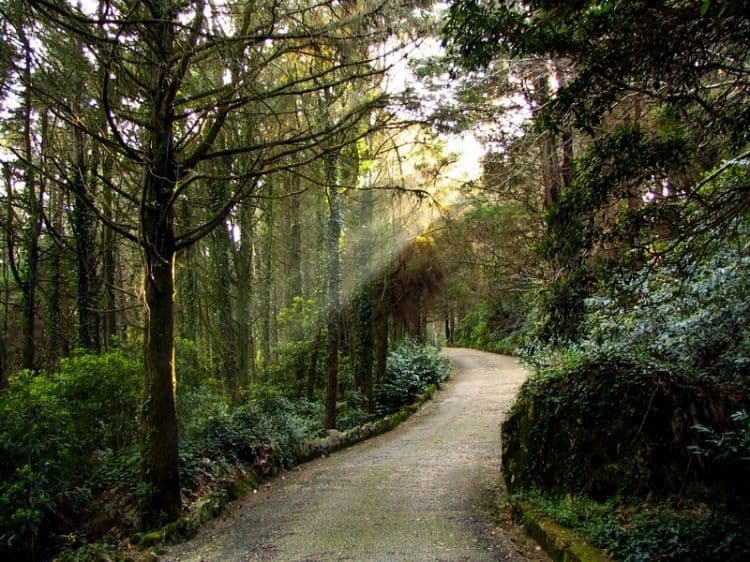 Place Sintra Mountains