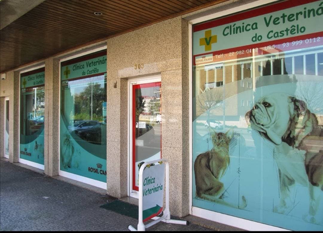 Lugar Veterinary Clinic of Castêlo