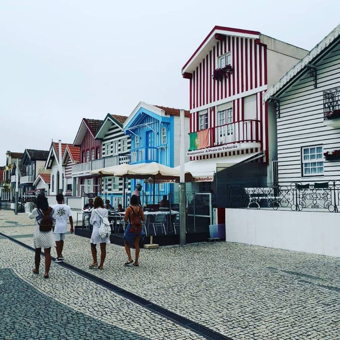 Lugar Praia da Costa Nova