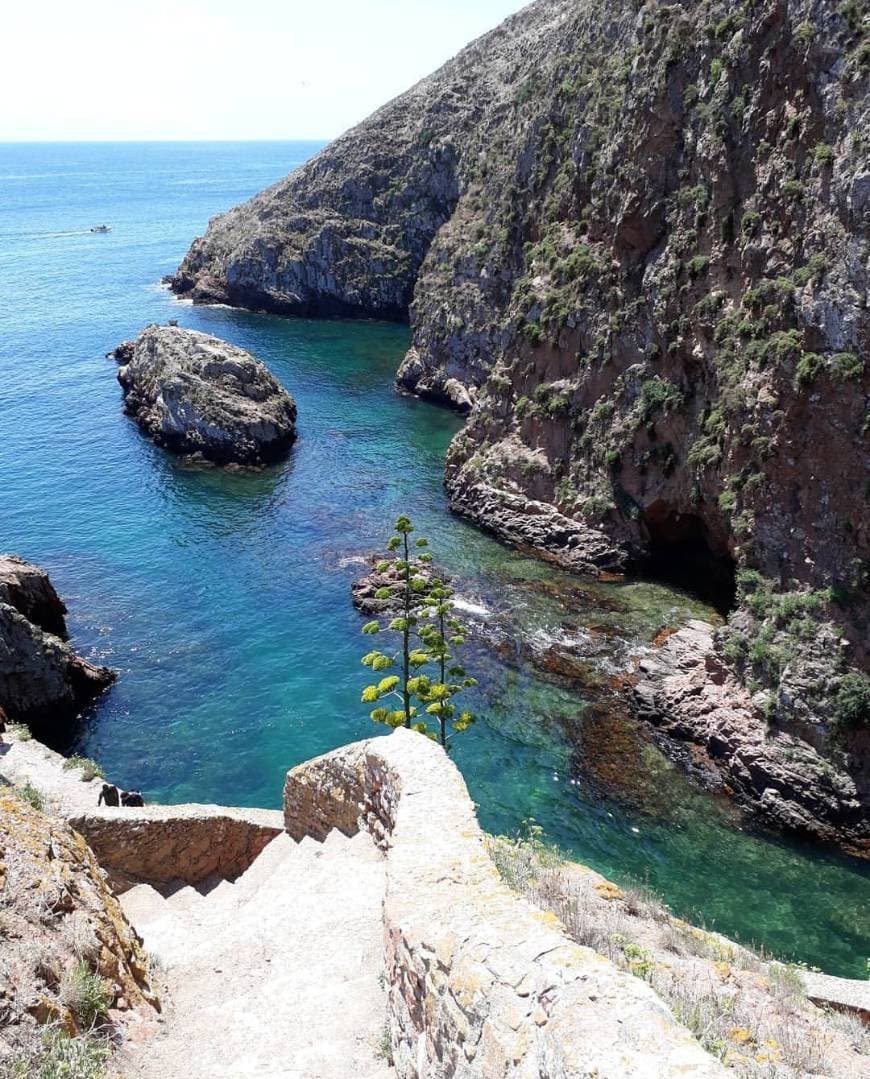 Lugar Berlengas