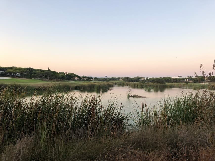 Place Quinta do Lago