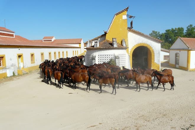 Lugar Coudelaria de Alter