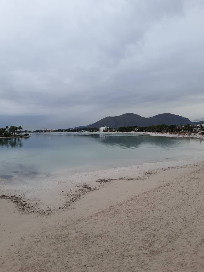 Place Puerto de Alcudia