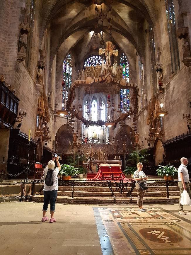 Place Catedral de Mallorca