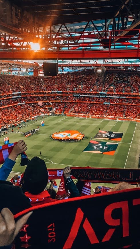 Moda Melhor estádio do mundo 