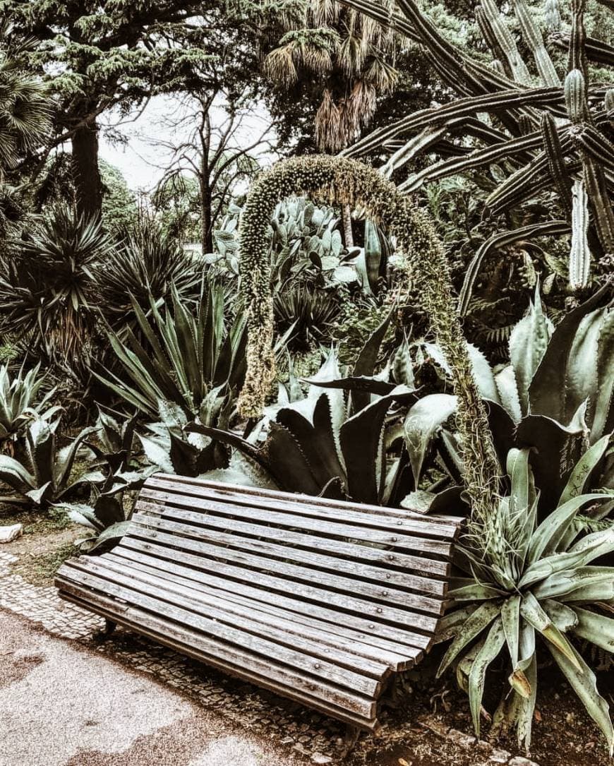 Lugar Jardim da Torre de Belém