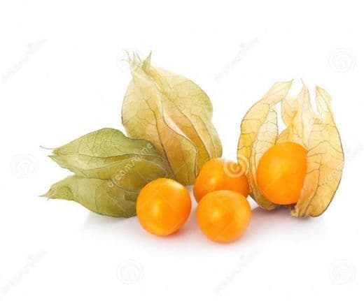 Restaurantes Physalis