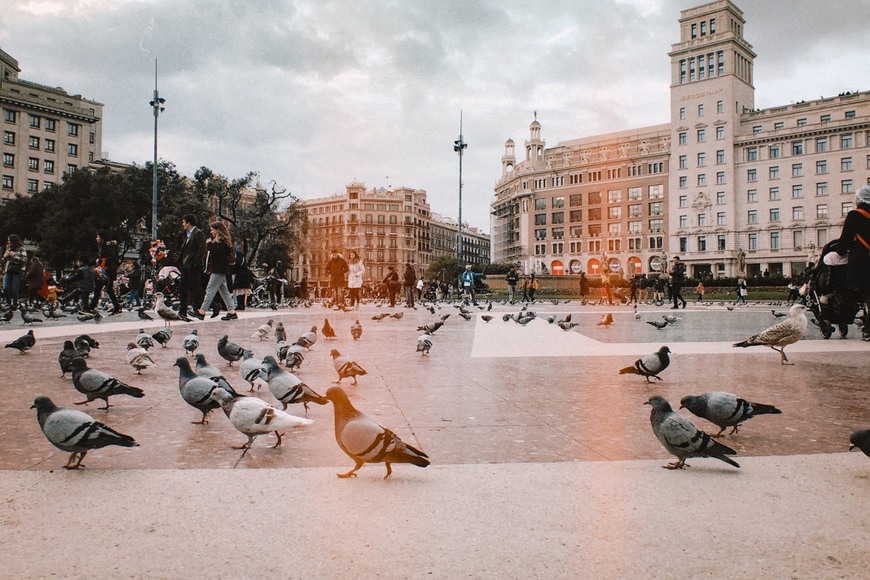 Lugar Plaça de Catalunya