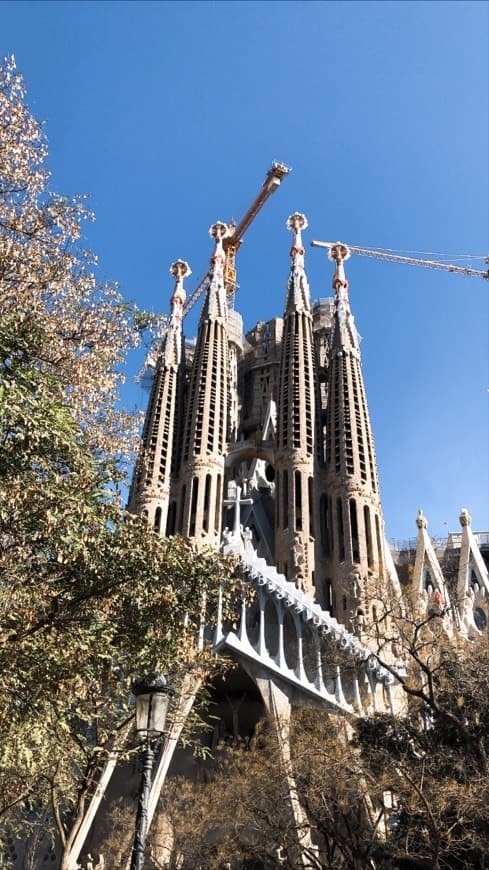 Lugar Basílica Sagrada Familia