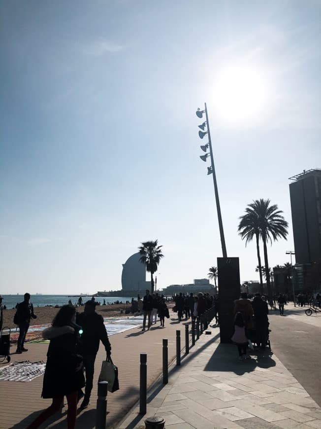 Lugar Playa de la Barceloneta