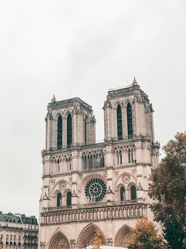 Lugar Catedral de Notre Dame