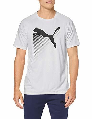 Fitness PUMA The Cat tee Camiseta, Hombre, Gris