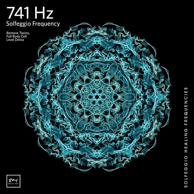 Music 741 Hz Dissolve Toxins & Electromagnetic Radiations