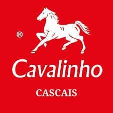 Fashion Cavalinho 