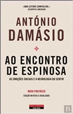 Libro Ao encontro de espinosa