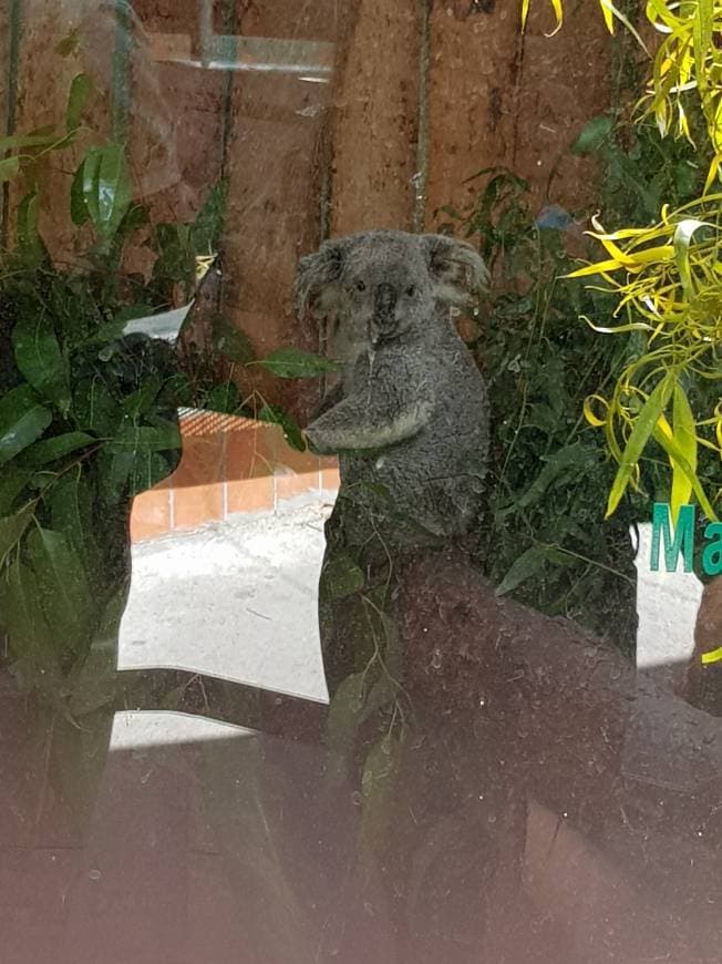 Lugar Jardim Zoológico